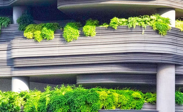 戴維醫療_寧波維爾凱迪醫療器械有限公司