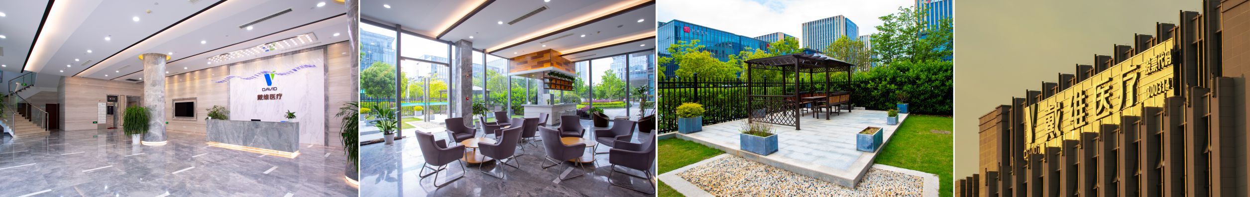 戴維醫療_戴維的發展